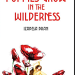 Book cover (1)